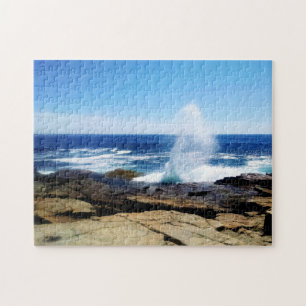 Puzzle Schoodic Point