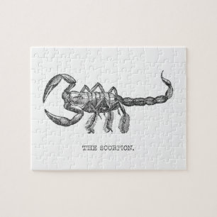 Puzzle Scorpion animal cadeau animaux effrayants