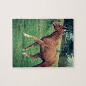 Puzzle Scotch (Horizontal)