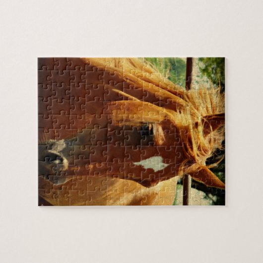 Puzzle Scotch (Horizontal)