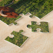 Puzzle Scottish Highland Cows in a pasture (Côté)