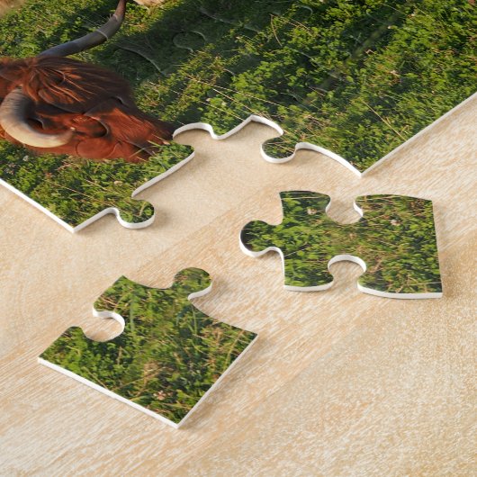 Puzzle Scottish Highland Cows in a pasture (Côté)