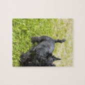Puzzle Scottish Terrier (Horizontal)