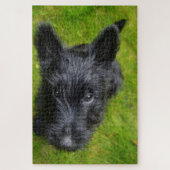 Puzzle Scottish Terrier Jigsaws. (Vertical)