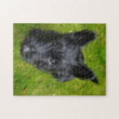 Puzzle Scottish Terrier Jigsaws. (Horizontal)