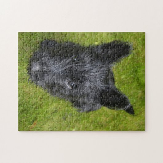 Puzzle Scottish Terrier Jigsaws. (Horizontal)