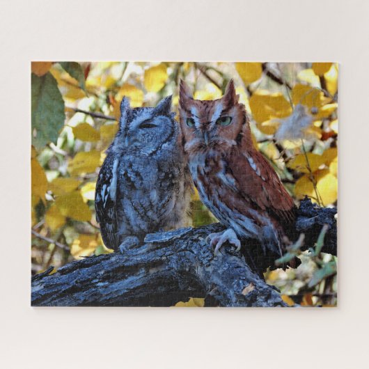Puzzle Screech Owls (Horizontal)