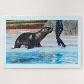 Puzzle Sea lion (Horizontal)