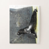 Puzzle Sea lion (Vertical)
