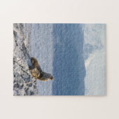 Puzzle Sea lions in beagle channel - Argentina (Horizontal)