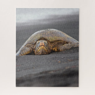 Puzzle Sea Turtle Black Sand Beach Hawaii - 16x20 - 520 p