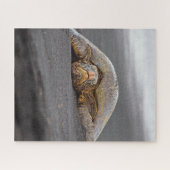 Puzzle Sea Turtle Black Sand Beach Hawaii - 16x20 - 520 p (Horizontal)