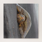 Puzzle Sea Turtle Black Sand Beach Hawaii - 20x20 - 676 p (Horizontal)