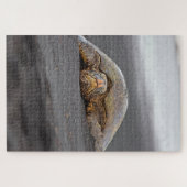 Puzzle Sea Turtle Black Sand Beach Hawaii -20x30- 1014 pc (Horizontal)