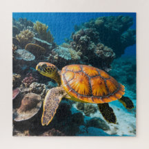 Sea Turtle Coral Reef Underwater