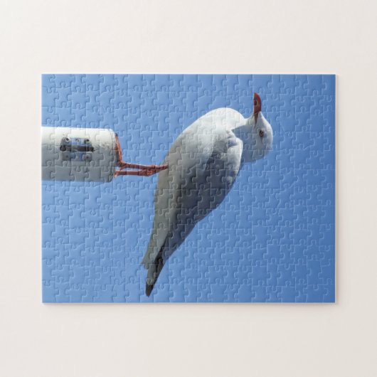 Puzzle Seagull (Horizontal)