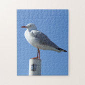 Puzzle Seagull (Vertical)
