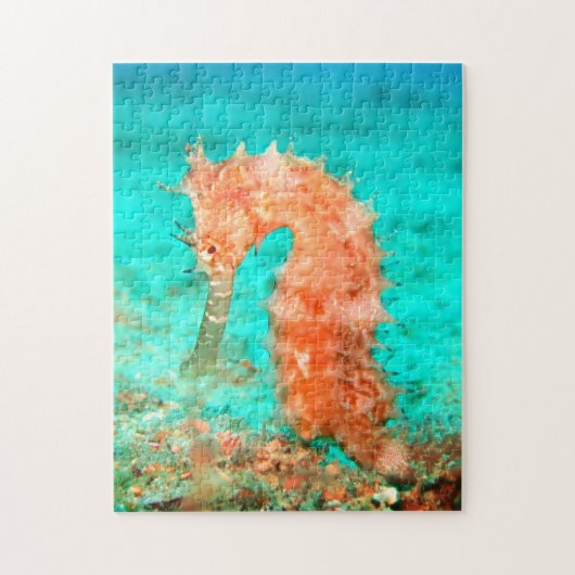 Puzzle Seahorse tropical carribean turquoise orange  (Vertical)