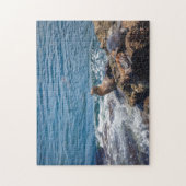Puzzle Seal Rock at La Jolla Beach à San Diego (Vertical)