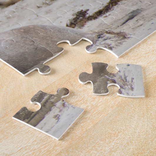 Puzzle Sealion lion de mer mignon bébé chiot, enfants 252 (Côté)