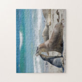 Puzzle Sealion lion de mer mignon bébé chiot, enfants 252 (Vertical)