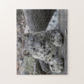 Puzzle Séance de CUB de léopard de neige (Vertical)