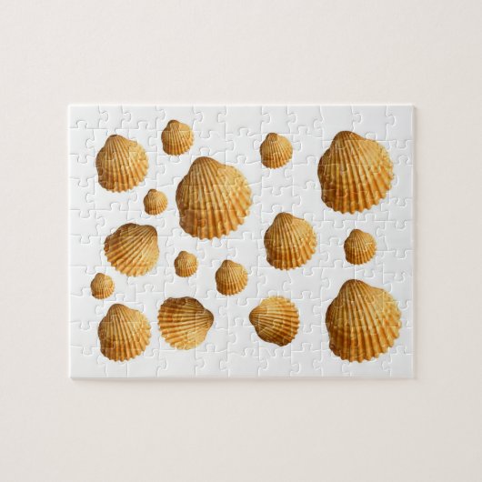 Puzzle Seashell (Horizontal)