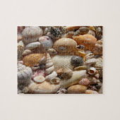 Puzzle Seashell (Horizontal)