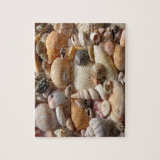 Puzzle Seashell (Vertical)