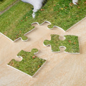 Puzzle Seashell (Côté)