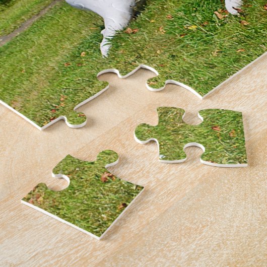 Puzzle Seashell (Côté)