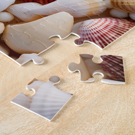 Puzzle Seashell Puzzle. (Côté)
