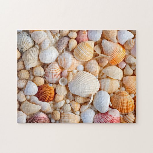 Puzzle Seashell Puzzle. (Horizontal)