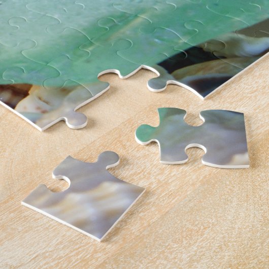 Puzzle Seashells (Côté)