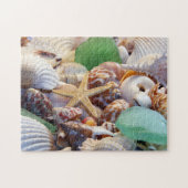 Puzzle Seashells (Horizontal)