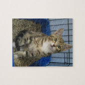 Puzzle Secourt Kitty (Horizontal)