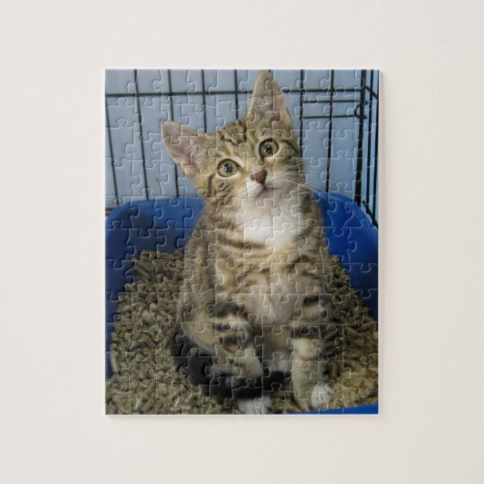 Puzzle Secourt Kitty (Vertical)