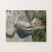 Puzzle Sécureuil de sol doré Photo (Horizontal)
