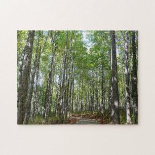 Puzzle Sentier boisé du centenaire II Ellicott City Maryl