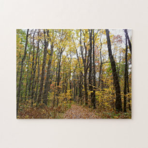 Puzzle Sentier d'automne et feuilles dorées à Laurel Hill