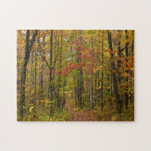 Puzzle Sentier de Laurel Hill en automne (Horizontal)