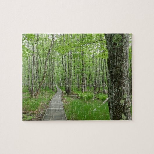Puzzle Sentier de planches Jesup Path (Horizontal)