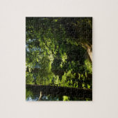 Puzzle Sentier depuis Silver Falls (Vertical)