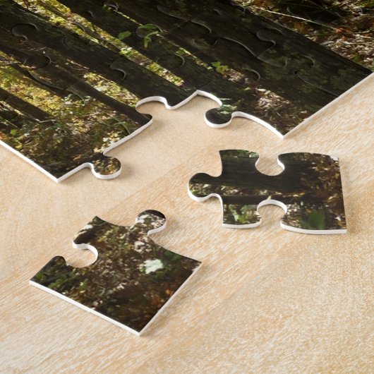 Puzzle Sentier des Appalaches en octobre à Shenandoah (Côté)