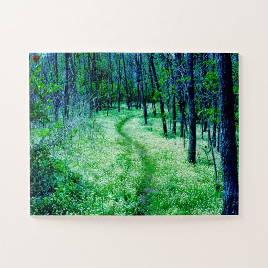 Puzzle "Sentier des Appalaches Virginie.", (Horizontal)