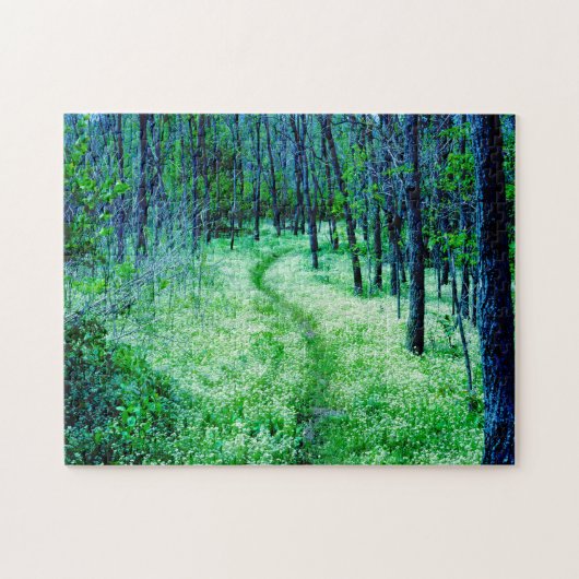 Puzzle Sentier des Appalaches Virginie. (Horizontal)