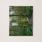 Puzzle Sentier pour Marymere Falls I (Vertical)