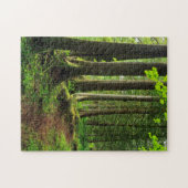 Puzzle Sentier Scénique de la Forêt Verte (Horizontal)
