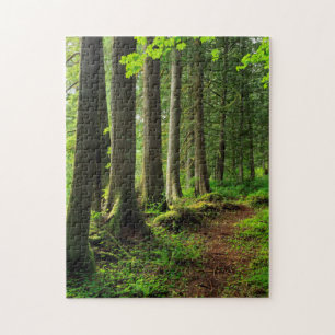 Puzzle Sentier Scénique de la Forêt Verte