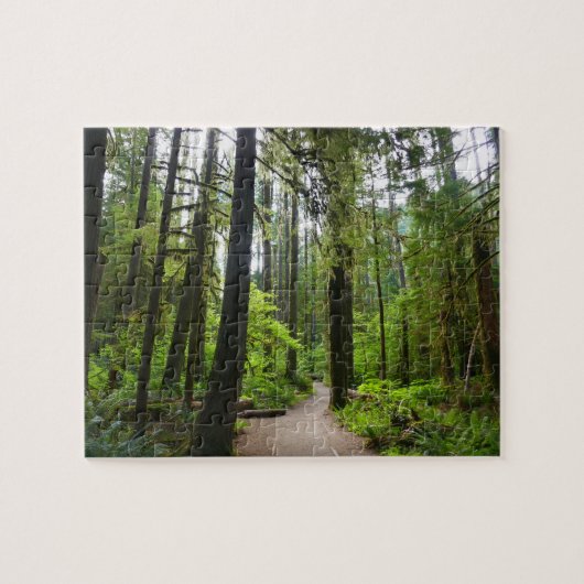 Puzzle Sentier vers Marymere Falls II (Horizontal)